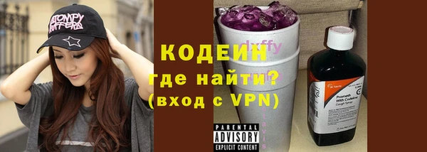 гашик Осинники