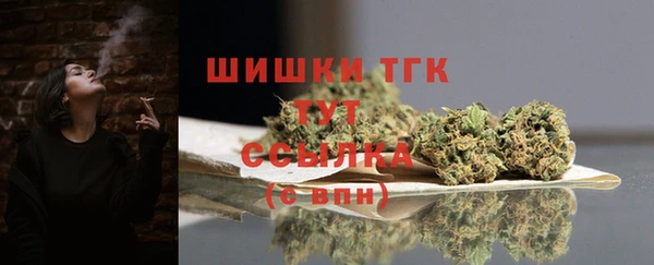 соль ск Пестово