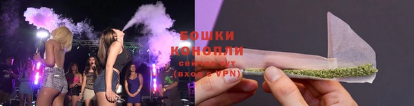 ECSTASY Ельня