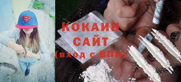 прущая мука Пересвет