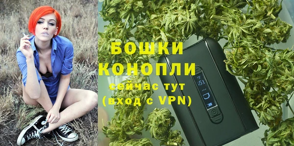 соль ск Пестово