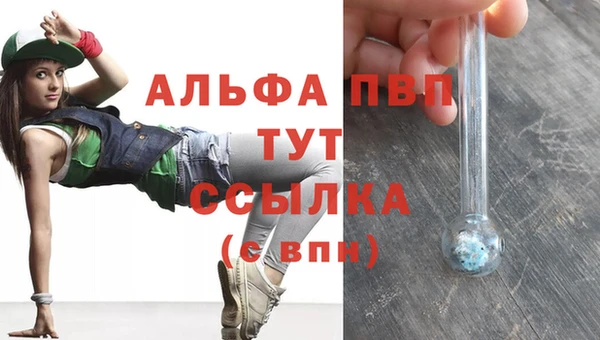 гашик Осинники