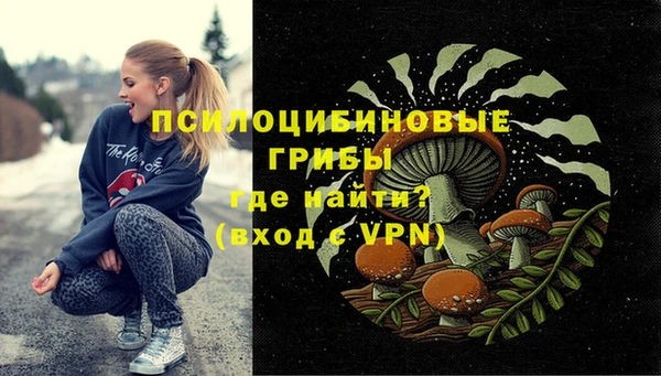 соль ск Пестово