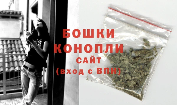 дурь Переславль-Залесский