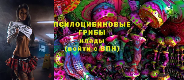 соль ск Пестово