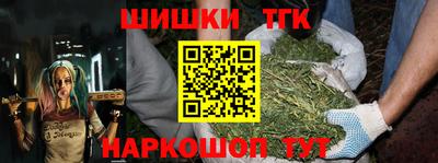 прущие грибы Ирбит