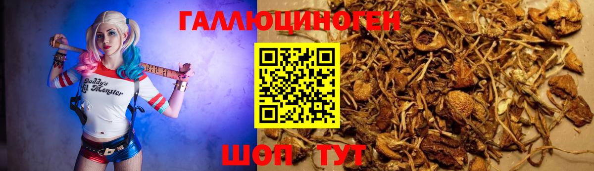 ЭКСТАЗИ  Лсд 25  КОКАИН  Вход с VPN  Бошки Шишки  Кохма  Канабис  Меф   Гашиш  КОКАИН  МЕТ 