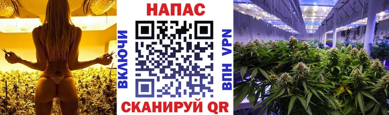 Бошки Шишки THC 21% Кохма